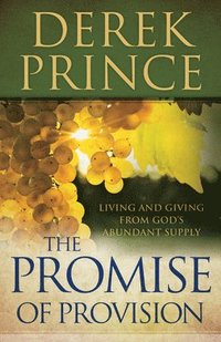 bokomslag The Promise of Provision  Living and Giving from God`s Abundant Supply