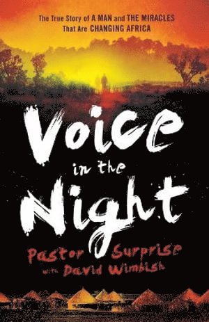 bokomslag Voice in the Night  The True Story of a Man and the Miracles That Are Changing Africa