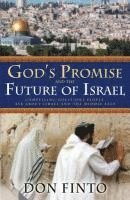 bokomslag God`s Promise and the Future of Israel