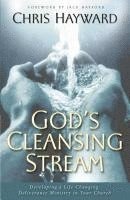 God's Cleansing Stream 1