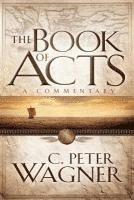 bokomslag The Book of Acts  A Commentary