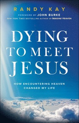 bokomslag Dying to Meet Jesus