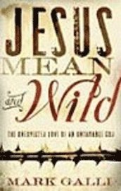 bokomslag Jesus Mean and Wild
