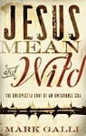 Jesus Mean and Wild 1