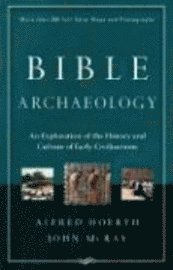 bokomslag Bible Archaeology