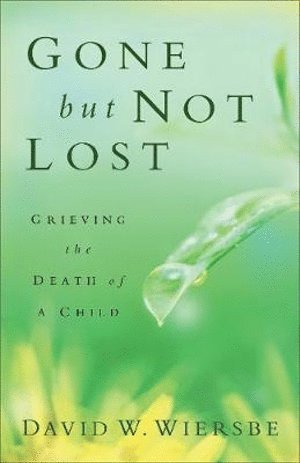 bokomslag Gone but Not Lost - Grieving the Death of a Child