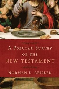 bokomslag Popular Survey of the New Testament