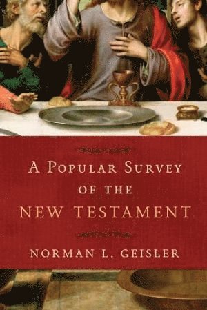 bokomslag Popular Survey of the New Testament
