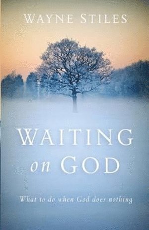 bokomslag Waiting on God - What to Do When God Does Nothing