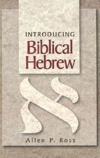 bokomslag Introducing Biblical Hebrew