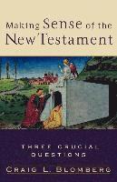 bokomslag Making Sense of the New Testament