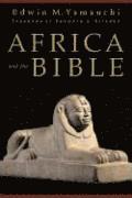 bokomslag Africa and the Bible