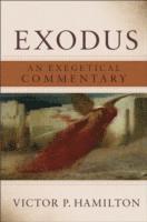 bokomslag Exodus - An Exegetical Commentary