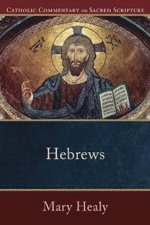 bokomslag Hebrews