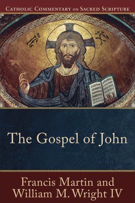 bokomslag The Gospel of John