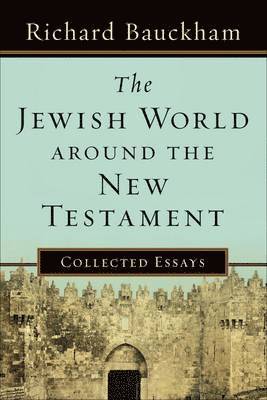 bokomslag The Jewish World around the New Testament