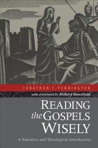 bokomslag Reading the Gospels Wisely - A Narrative and Theological Introduction