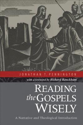 bokomslag Reading the Gospels Wisely - A Narrative and Theological Introduction