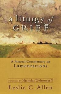 bokomslag A Liturgy of Grief  A Pastoral Commentary on Lamentations