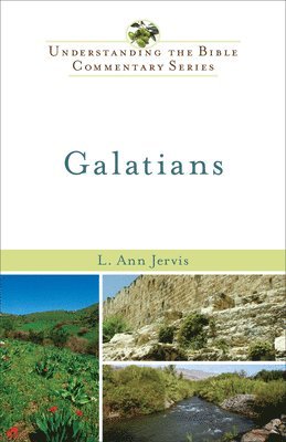 L. Ann Jervis - Galatians, Häftad