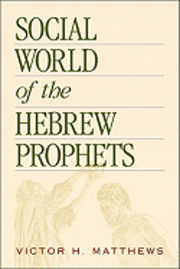 bokomslag Social World of the Hebrew Prophets