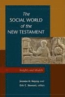 bokomslag The Social World of the New Testament