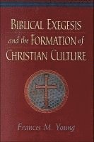 Biblical Exegesis and the Formation of Christian Culture 1
