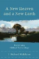 bokomslag New Heaven And A New Earth â¿¿ Reclaiming Biblical Eschatology
