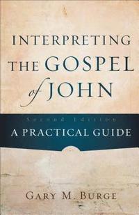 bokomslag Interpreting the Gospel of John - A Practical Guide