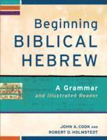 John A. Cook, Robert D. Holmstedt - Beginning Biblical Hebrew, Häftad