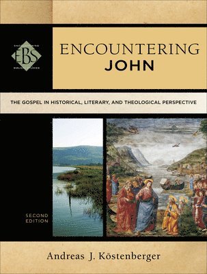 bokomslag Encountering John - The Gospel in Historical, Literary, and Theological Perspective