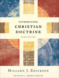 bokomslag Introducing Christian Doctrine