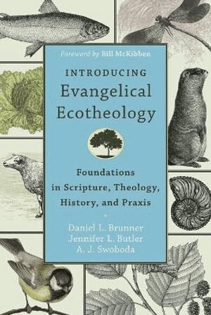 Daniel L. Brunner, Jennifer L. Butler, A. J. Swoboda, Bill Mckibben - Introducing Evangelical Ecotheology – Foundations in Scripture, Theology, History, and Praxis, Häftad