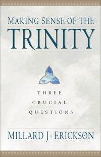 bokomslag Making Sense of the Trinity - Three Crucial Questions