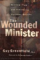 bokomslag The Wounded Minister