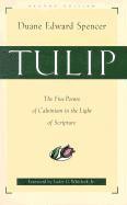 bokomslag Tulip  The Five Points of Calvinism in the Light of Scripture
