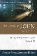 bokomslag The Gospel of John  The Coming of the Light (John 14)