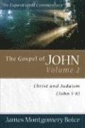bokomslag The Gospel of John  Christ and Judaism (John 58)