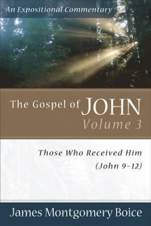 bokomslag Gospel of John - Those Who Received Him (John 9-12)