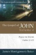 bokomslag The Gospel of John  Peace in Storm (John 1317)