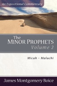 bokomslag The Minor Prophets  MicahMalachi