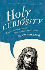 bokomslag Holy Curiosity