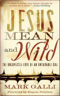 bokomslag Jesus Mean and Wild  The Unexpected Love of an Untamable God