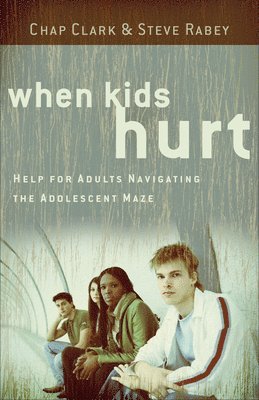 bokomslag When Kids Hurt  Help for Adults Navigating the Adolescent Maze