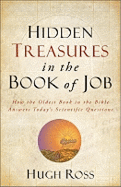 bokomslag Hidden Treasures in the Book of Job