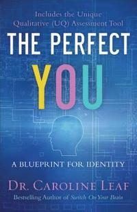 bokomslag The Perfect You  A Blueprint for Identity