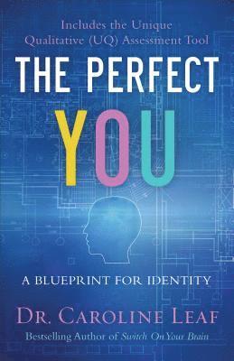 The Perfect You  A Blueprint for Identity 1