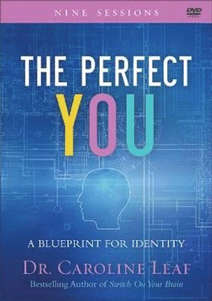 Perfect You - A Blueprint for Identity 1