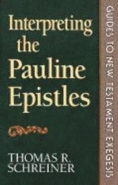 bokomslag Interpreting the Pauline Epistles