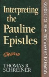 Interpreting the Pauline Epistles 1